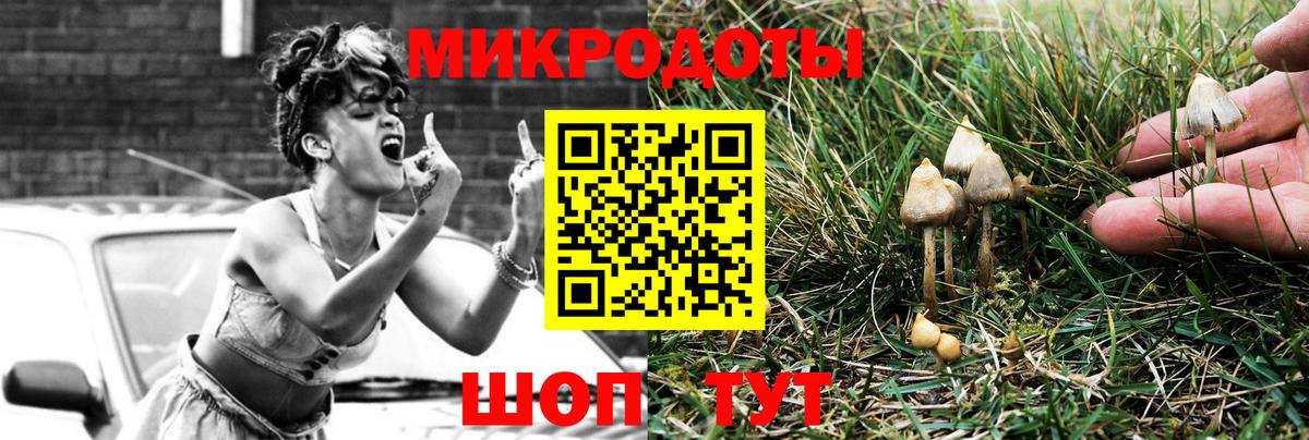 Ногинск  Псилоцибиновые грибы MAGIC MUSHROOMS  Вход с VPN  Галлюциногенные грибы GOLDEN TEACHER 